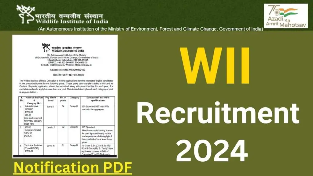 WII Recruitment 2024